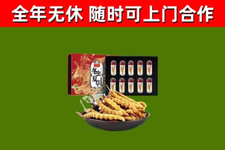 枞阳县烟酒回收冬虫夏草礼盒.jpg